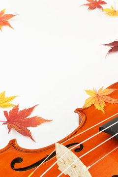 紅葉（もみじ）とバイオリン