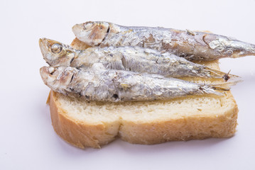 fried sardines on the plate