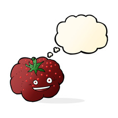 cartoon happy tomato with thought bubble