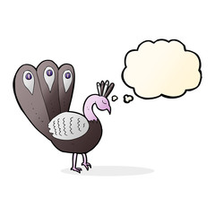 cartoon peacock with thought bubble