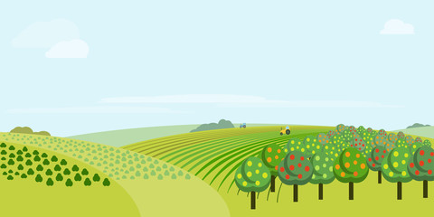 Absract farm field, green landscape vector illustration.