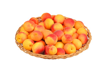 Apricot in wattled plate