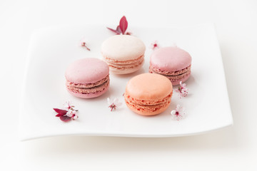 French sweet delicacy, macaroons cookies