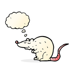 cartoon rat with thought bubble
