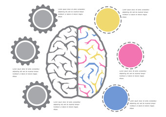 left and right brain concept ; vector illustration