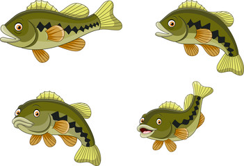 Cartoon funny bass fish collection
