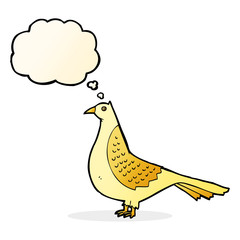 cartoon bird with thought bubble