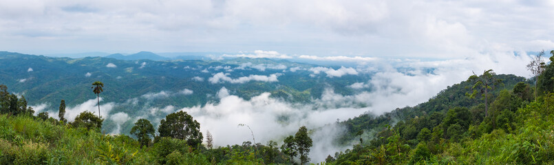 Panorama of landscape at national park, field against blue sky 