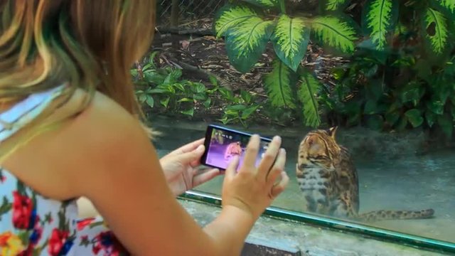 Backside Blond Girl Takes Photo of Wild Cat in Zoo Window