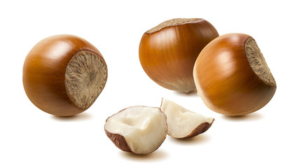 Hazelnut group pieces isolated on white background