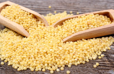 Heap of millet groats with spoon on wooden background