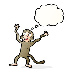 cartoon frightened monkey with thought bubble
