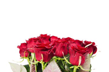 Bouquet of red roses. Isolated on white background