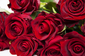 Bouquet of red roses