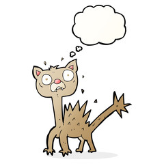 cartoon scared cat with thought bubble