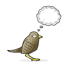 cartoon garden bird with thought bubble