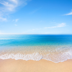 beach and tropical sea
