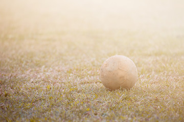 Ball Dry grass