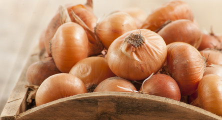 raw onion in basket and on a table