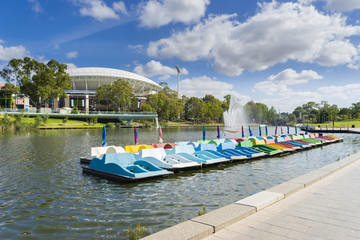 Fototapeta premium Paddle boats in Adelaide city in Australia
