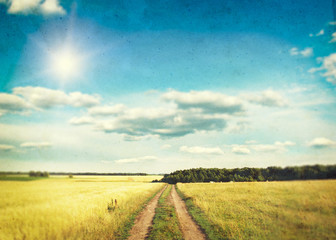 Fototapeta na wymiar A field of golden wheat and blue sky