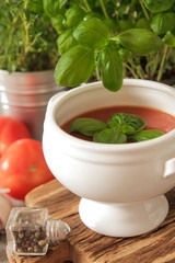 tomato soup with basil in white plate