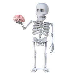 3d Skeleton has a brain