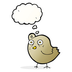 funny cartoon bird with thought bubble