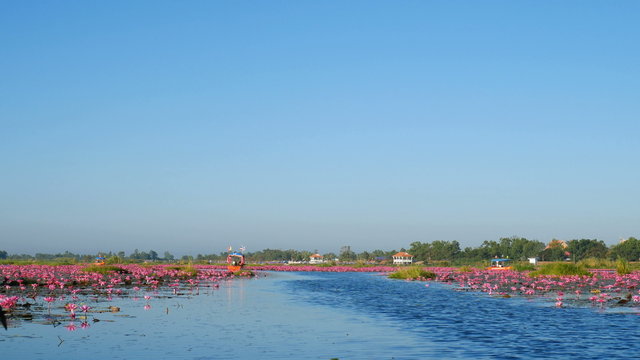 Boat trip to the sea of red lotus, Udon Thani, Thailand