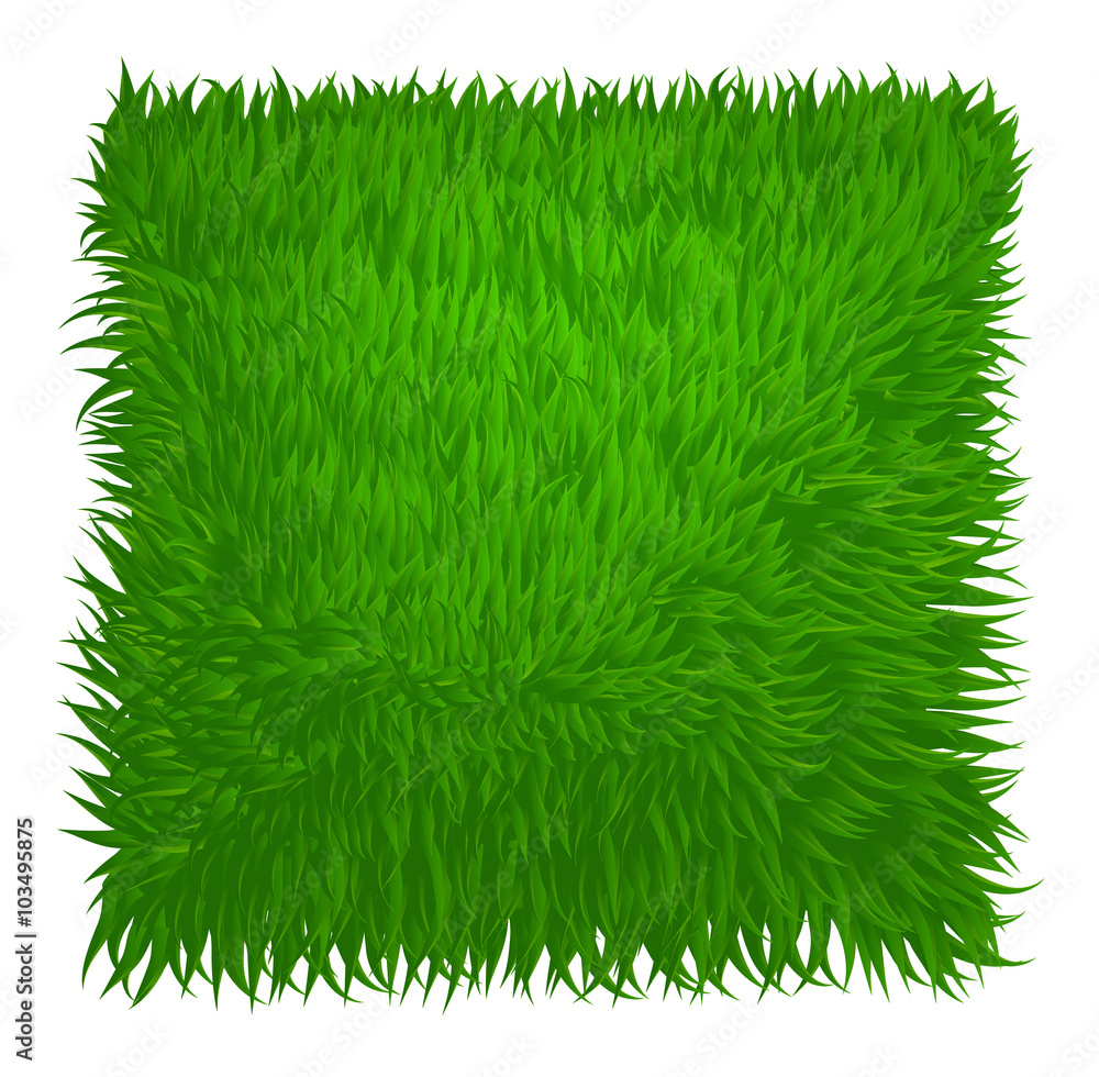 Wall mural green grass texture rectangle isolated on white. vector illustra