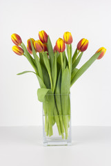 Bouquet of tulips in a glass vase