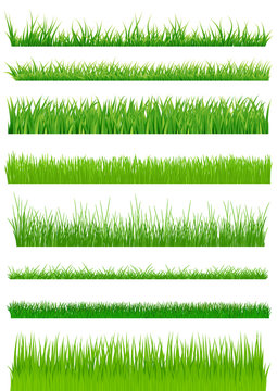 Green grass set. vector illustration