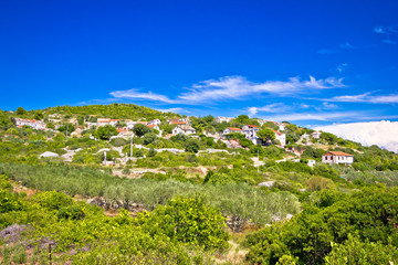 Fototapeta na wymiar Mediterranean village on Island of Vis