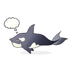 cartoon killer whale with thought bubble