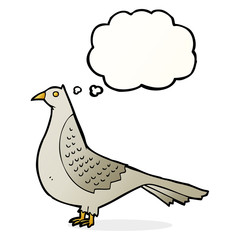 cartoon bird with thought bubble