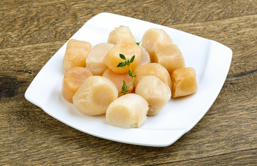 Raw scallops