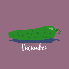 Fresh cucumber cute vector icon / illustration