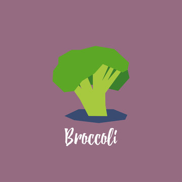 Fresh broccoli stylized vector icon / illustration. Cute text
