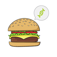junk food vector illustration