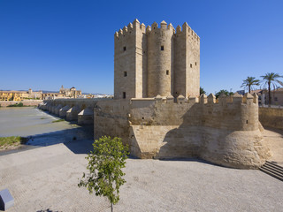 Römische Brücke, Puente Romano und Torre de la Calahorra , Museum der drei Kulturen, Rio Guadalquivir,  Cordoba, Andalusien, Spanien, Europa