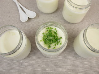 Joghurt aus dem Joghurtbereiter mit Basilikumsprossen