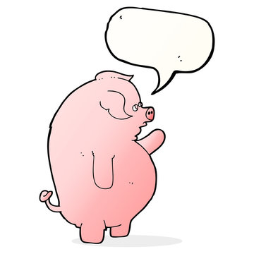 cartoon fat pig with speech bubble