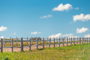 Fototapeta premium corral for walking of animals and green field
