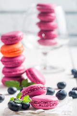 macaroon with fresh  blueberries