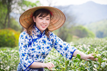 beautiful Asian girl in tea plantation