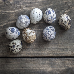 Obraz premium Quail eggs on the table