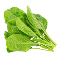 kale leaves on white background