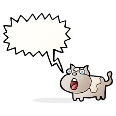 cartoon shocked cat with speech bubble