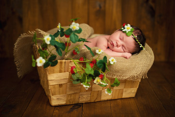 Newborn baby girl has sweet dreams in strawberries © Yarkovoy