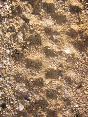 Trace de pneu de motocross 3